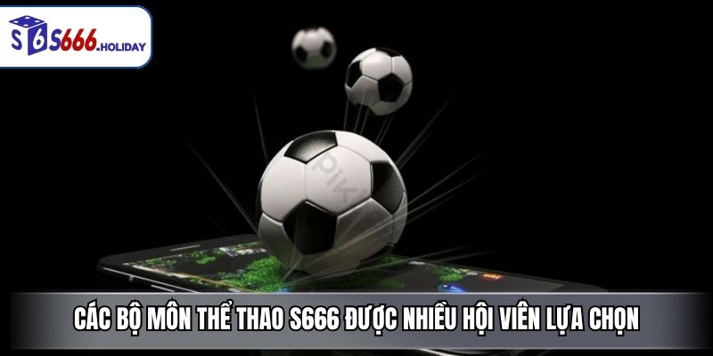 Các bộ môn thể thao S666 được nhiều hội viên lựa chọn